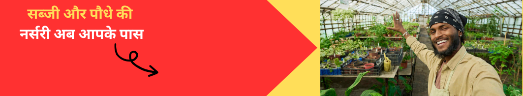 Nursery Tractor Banner